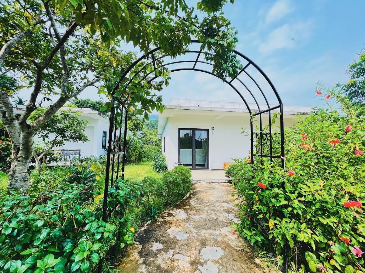 Rose Villas & Resort - Ba VI Son Tay Buitenkant foto